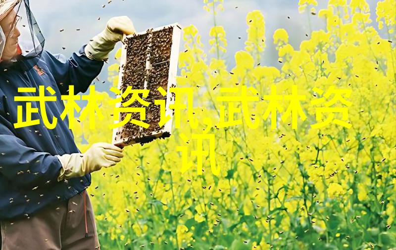 太极拳社会中探寻世界上最强武功的教与学-季荣发