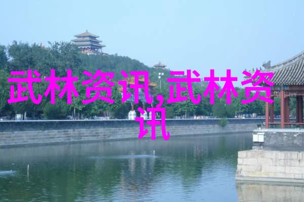公共交通的不懈追求公交车上的无数轮候车