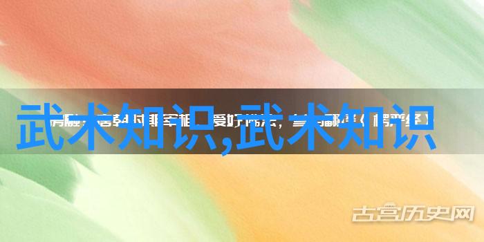 武术基本功网站探索内外兼修的奥秘