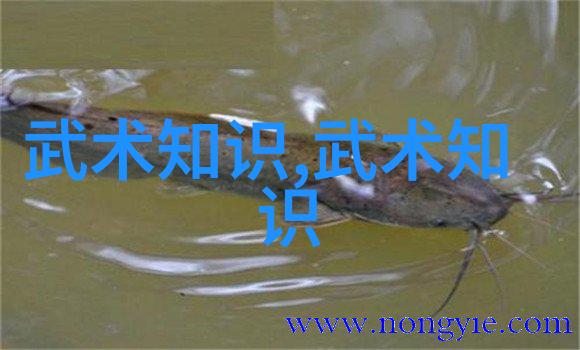 宝宝计划启蒙之旅的智慧引领者