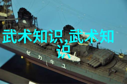 揭秘波速球减脂神器解锁医疗器械的运动秘诀