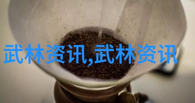 拳法十六招式图解-掌握武术精髓一套完整的打法指南