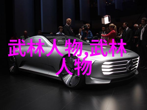 中国最有实战性的功夫掤之浅悟范少锋