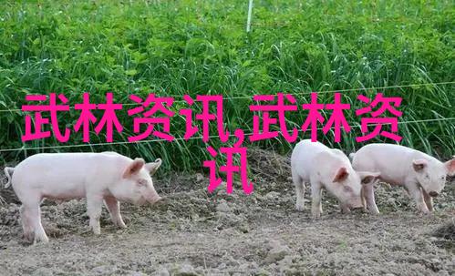 武林门派传说古老的门派之旅