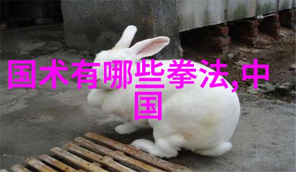 云端仙盟梦回旧时光