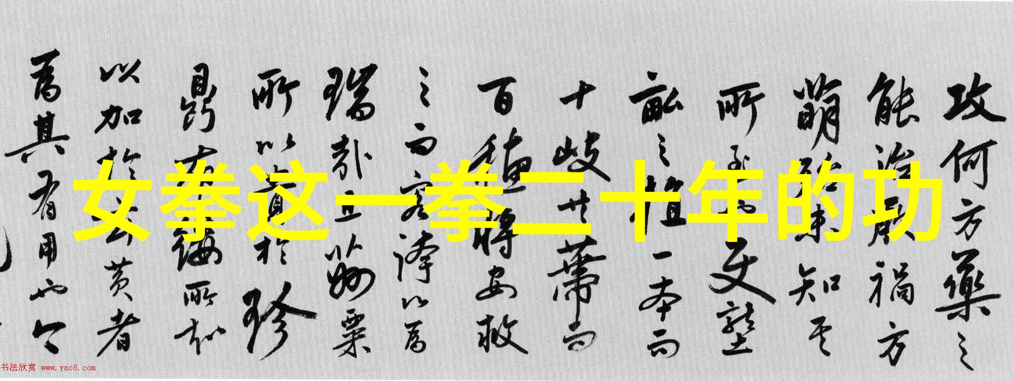 中华武学辉煌剖析各大门派的实战能力