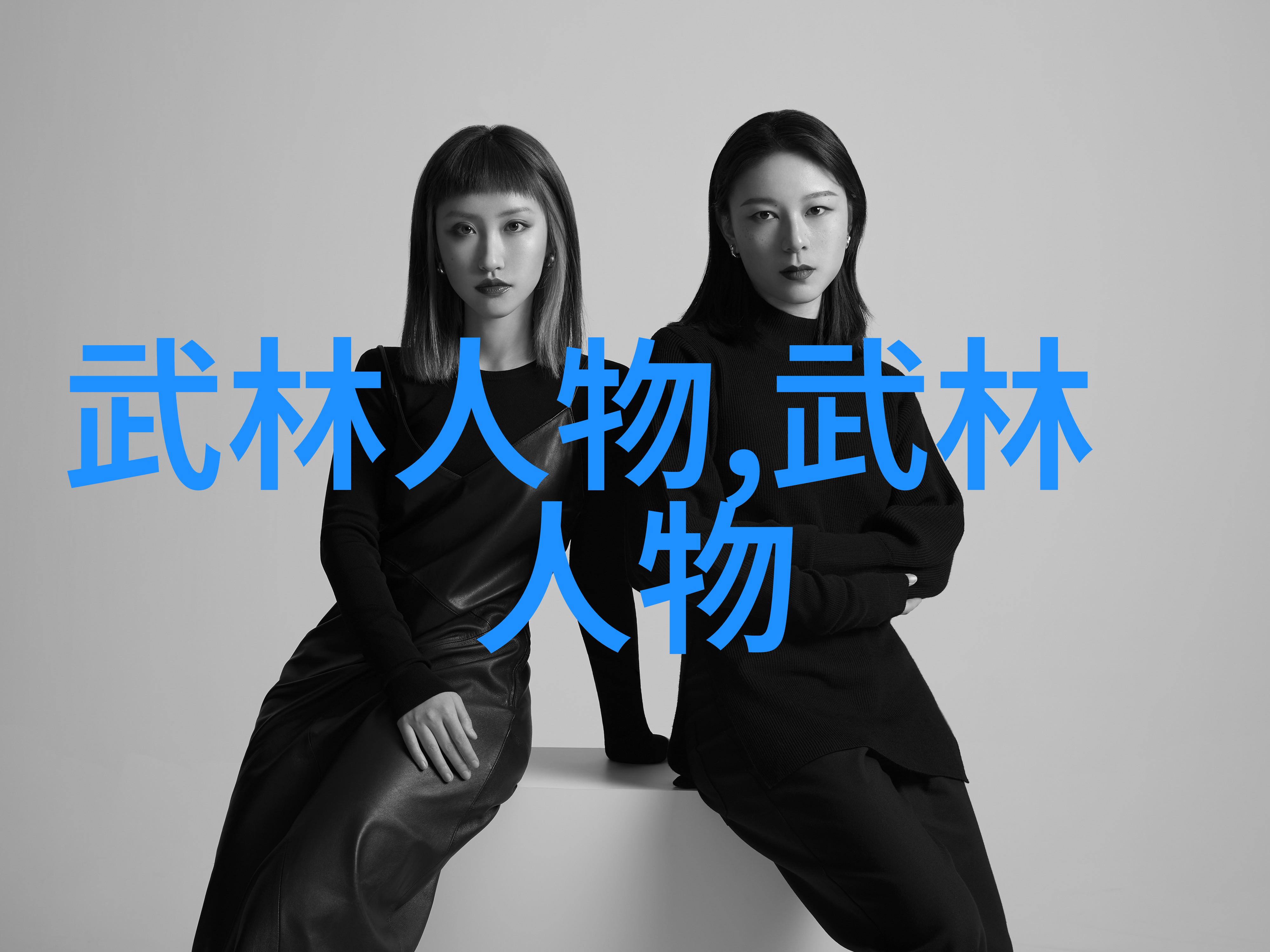 云霄幽灵太极梅花螳螂剑