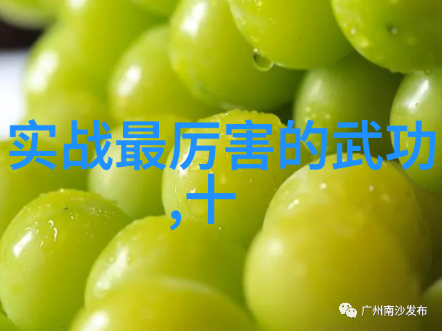 春风拂面舞动拳