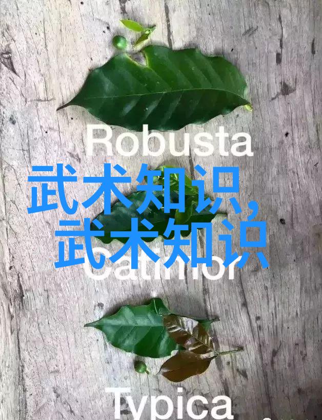 霸气门派的过气捶反复练习让它焕然一新