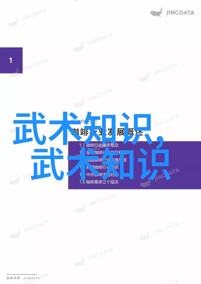 安徽武林秘谱合页通背门派拳法