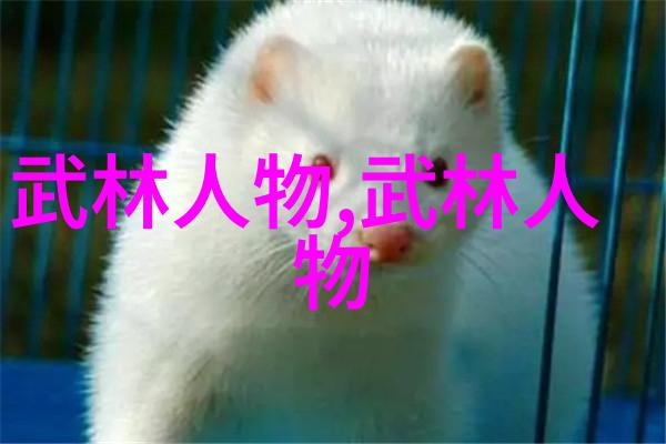 播九公社我在这里给你讲个故事九公的秘密花园