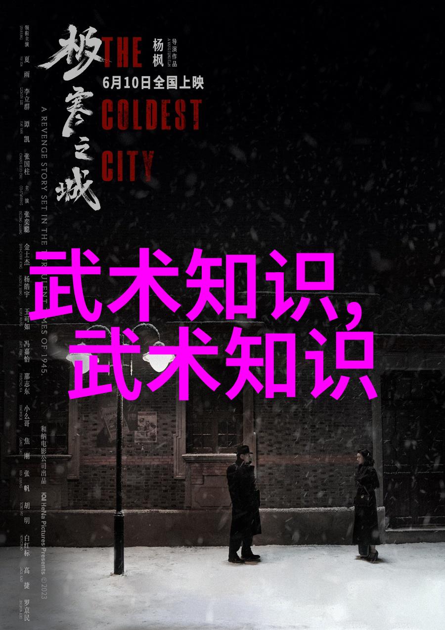 少林武功秘籍大全 - 探秘千年内家拳谱的奥义与应用