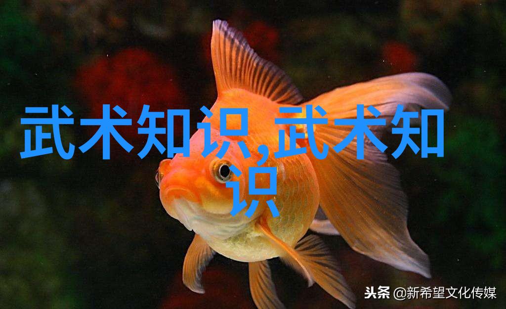 一汽大众高尔夫赛菲茨帕特里克加洞击败斯皮思坎特利第三