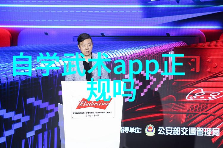 南拳与华拳之争风暴中的隐龙与雷霆中的舞者
