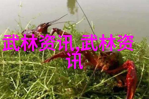 婚后试爱揭秘甜蜜与挑战的txt下载