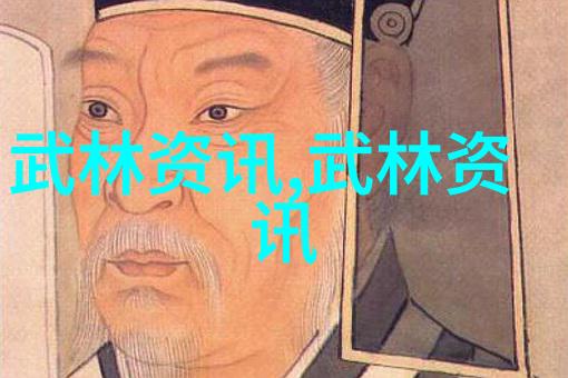 武林秘密暗影拳手的危险一击