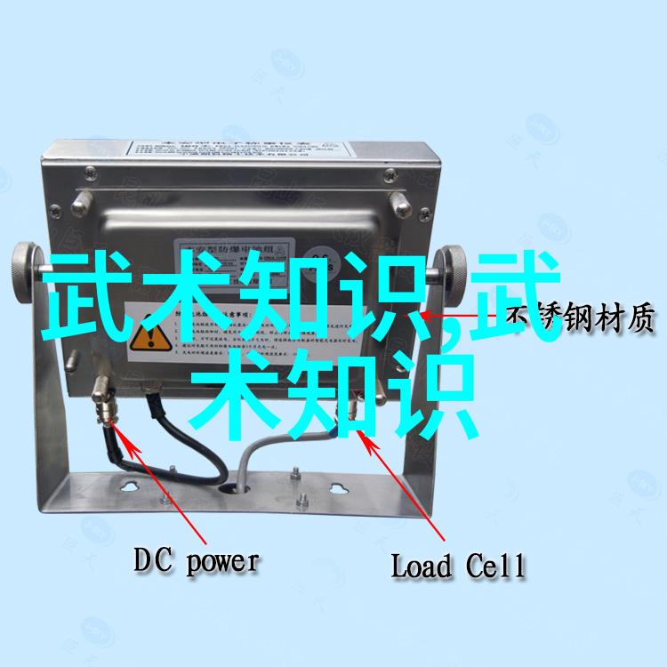中国武术门派-揭秘中华武林中国最著名的武术门派