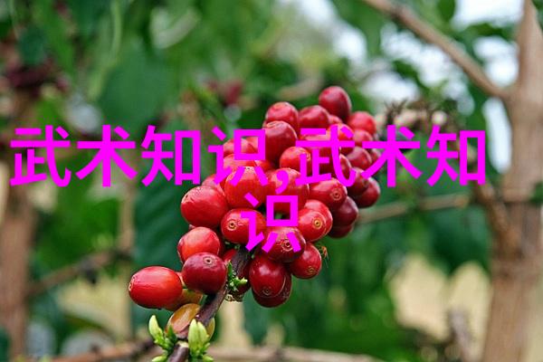 力与智的双刃剑探讨十大最强武功秘籍中对抗技巧的应用