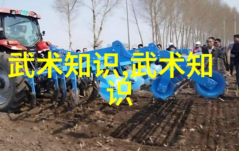 中国功夫之中有着太极拳这门艺术既是定位也是修为
