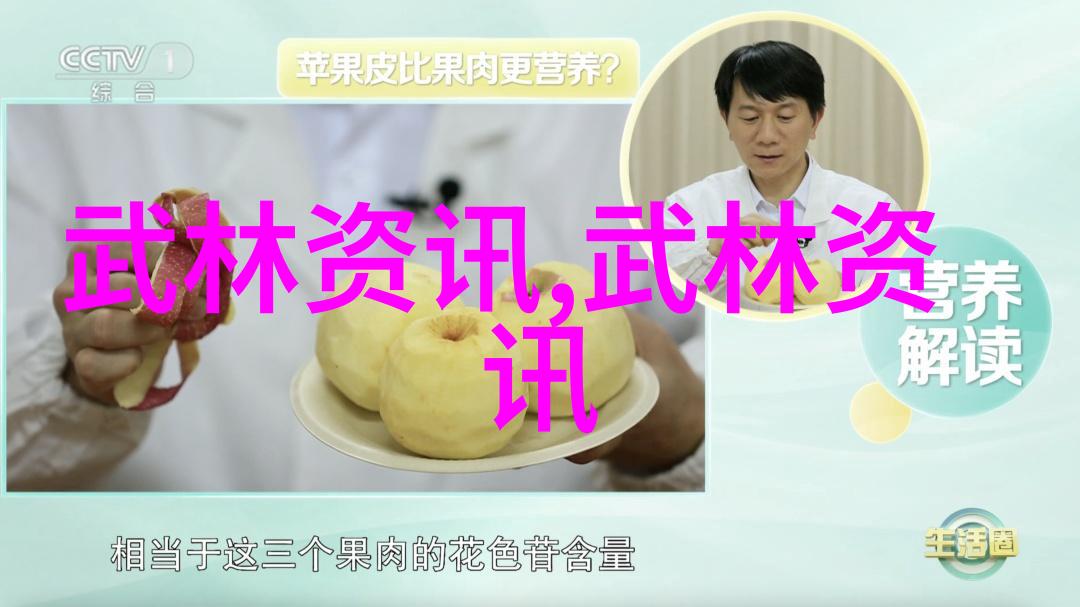 武林秘籍拳法启示录
