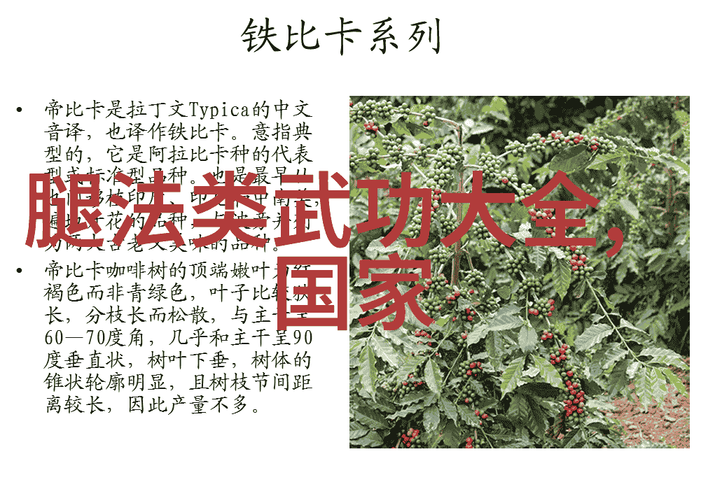 自己在家练武术的教程揭秘我是怎么每天都能进步的
