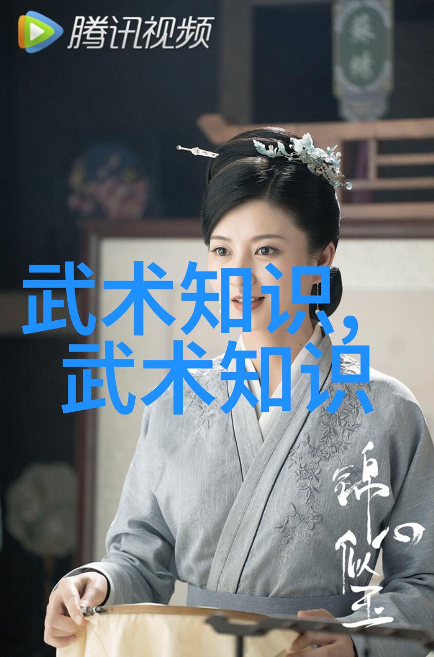 中国武术流派之旅中华古老武术的多样风貌