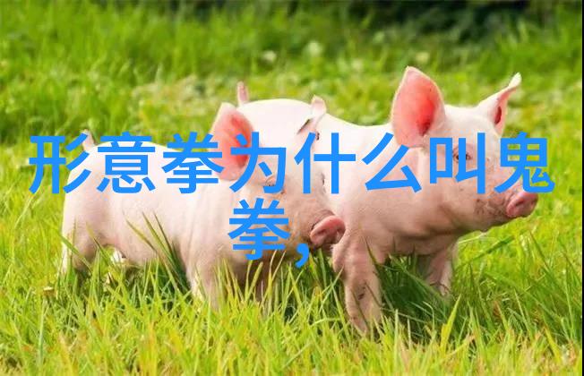 武林绝学秘籍之谜揭秘江湖中最神秘的武功技巧