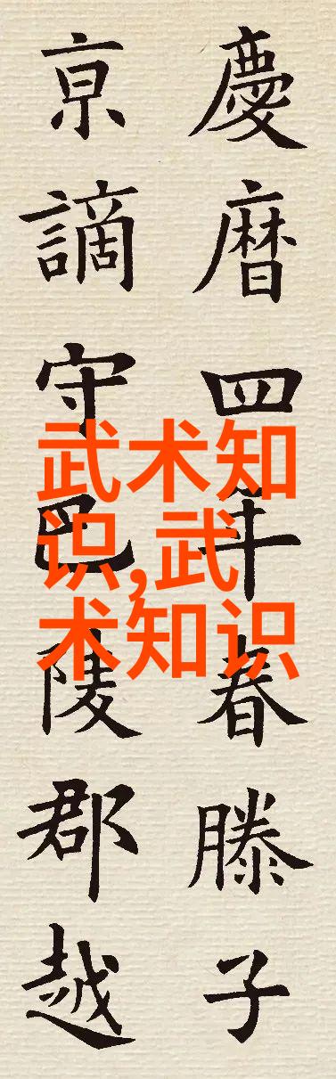 拳脚之路一位自学武术者的成长故事