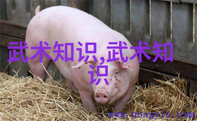 古风帮派海底神拳揭秘儒雅古风门派的无形腿法