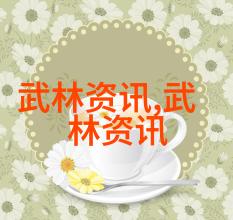 笑傲海岛 以武会友