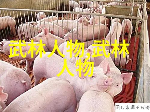 江湖恩怨录倾城孤影的秘密