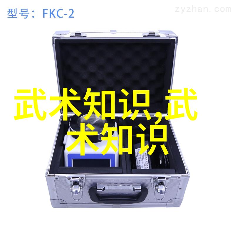 南拳华拳之争哪一路更为强悍