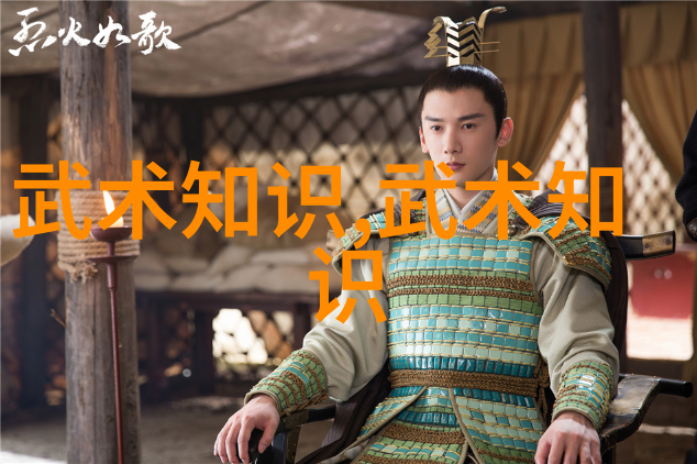 武林绝技全集揭开武功秘籍中隐藏的拳法之谜