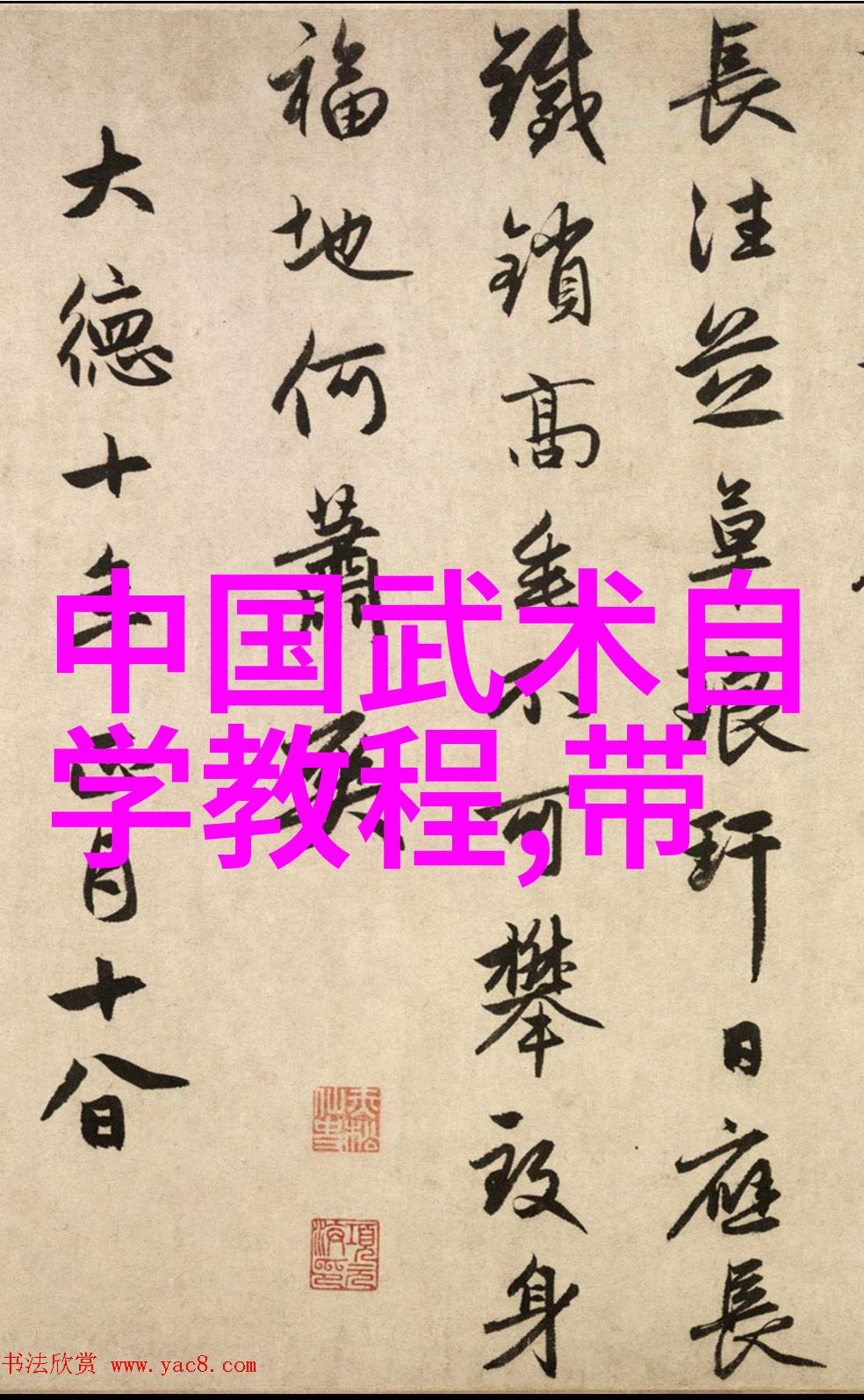 时间的裂痕ymdd177与未来的回声