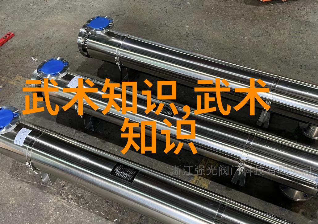 历史与现实探讨武功秘籍在当代社会的应用价值