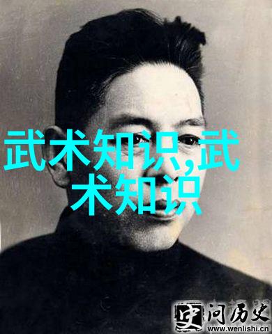拳法秘籍解析掌握古老武术的精髓与技巧