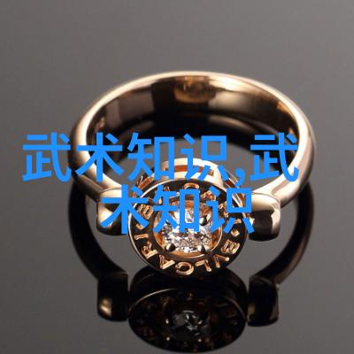 武术套路拳法中的招式有哪些是适合初学者的