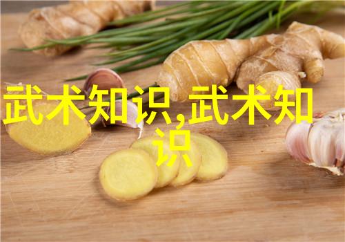中国武术的巅峰之作拳影中的战略与智慧