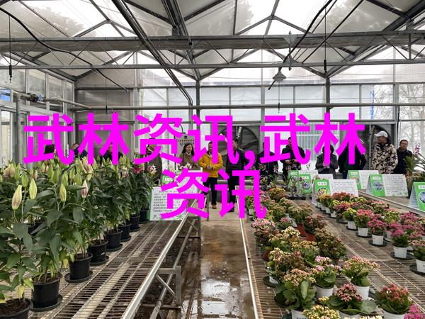 云魔门天下第一宗门云端之巅的拳种神话