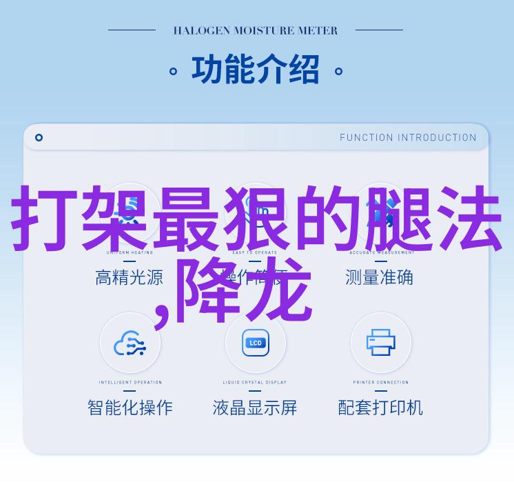 掌握精髓详解拳法十六招式图解的艺术与实用性