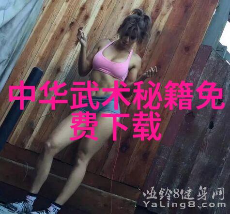 实战武林揭秘全球十大实战性最强武术之谜
