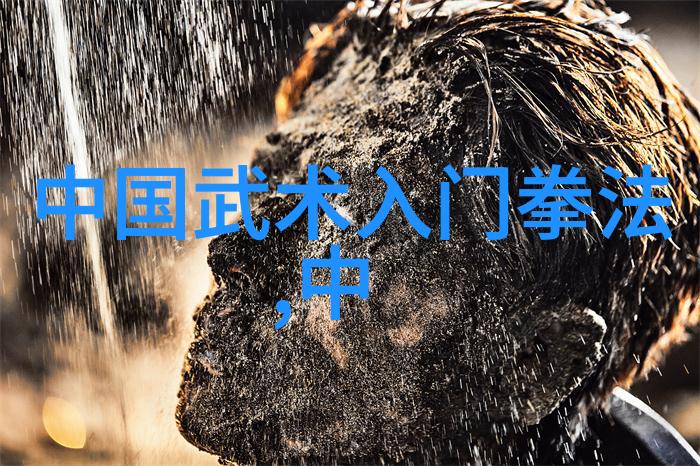 诗意帮派之学探索文人世家在明清时期的文化地位与影响