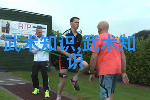 武术的12个基本动作拳法脚法推挽格挡闪避步伐控制