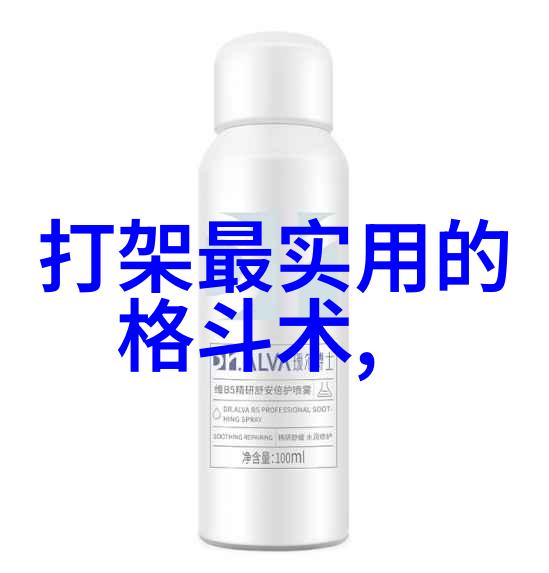 武功秘籍大全揭秘拳法奥义与精美图片