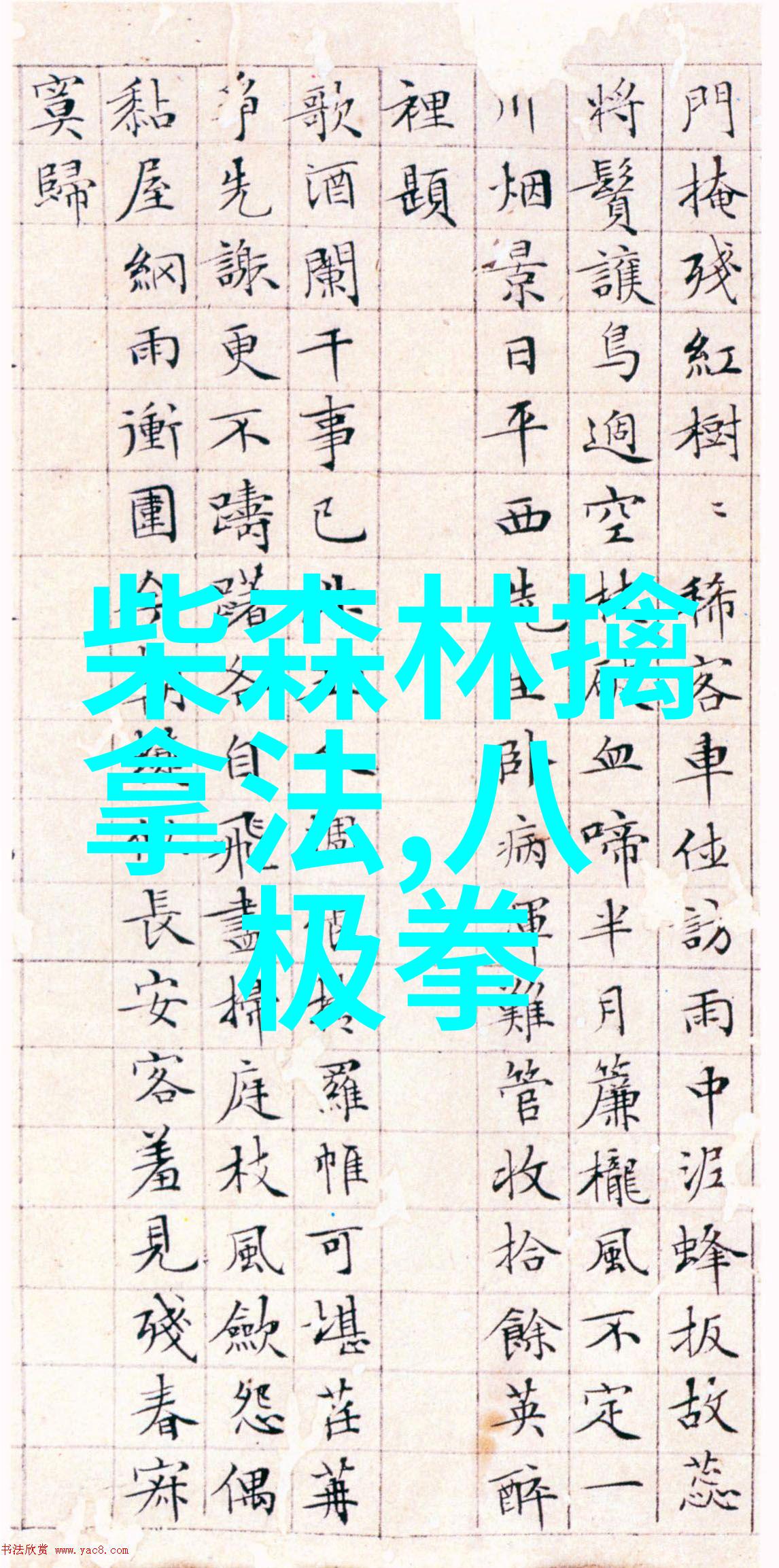 在中国武功的世界里有着一门古老而神秘的艺术太极拳它以柔和流畅的动作融合了哲学与内功让人不禁好奇这是一