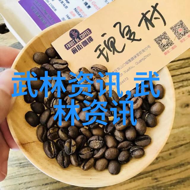 社会版玄幻剑法大全中的宗岳太极拳