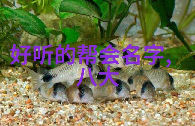 好听的势力名称古风-古韵长空寻觅那些好听又传神的古风势力名