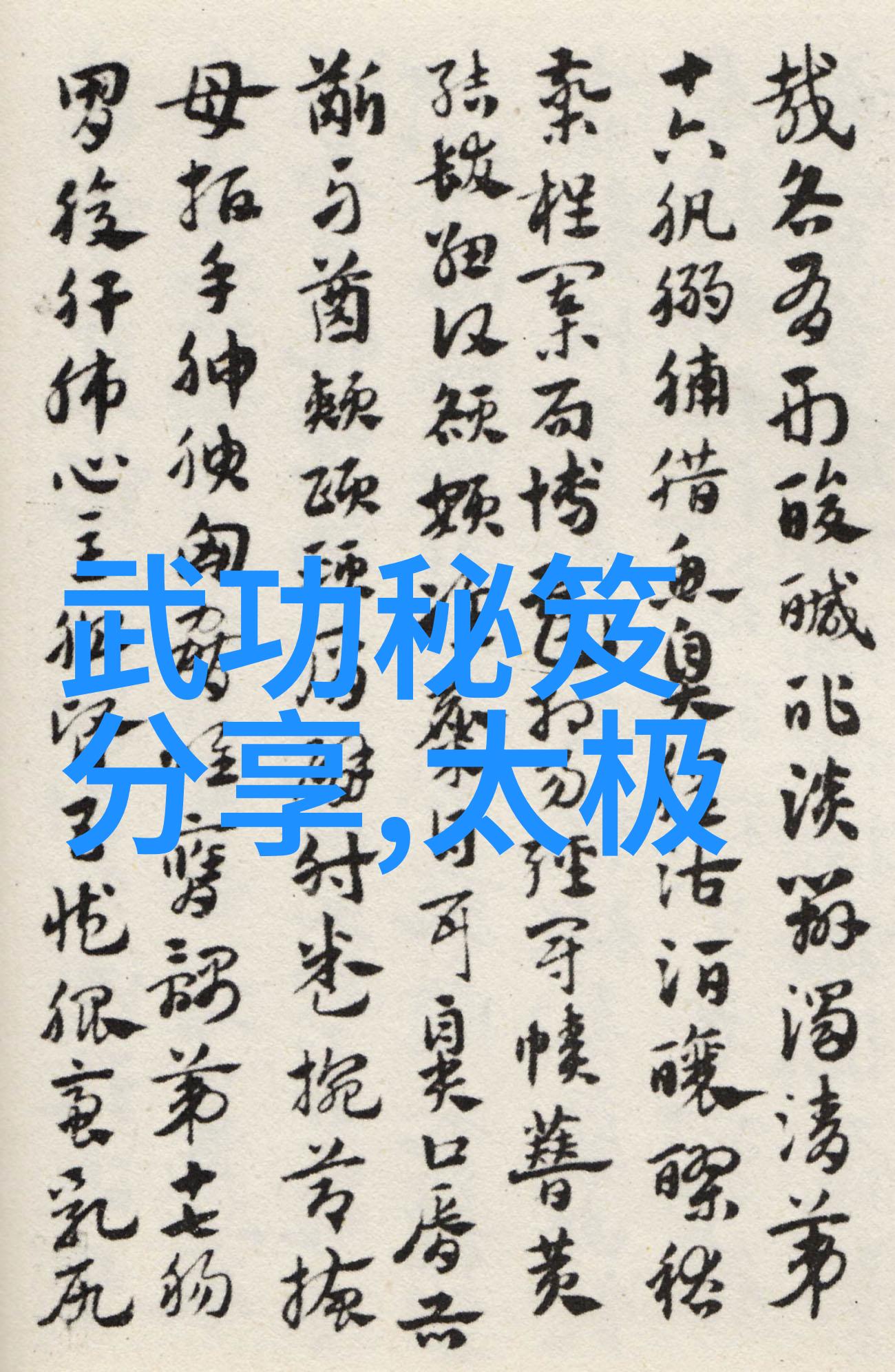 武术技巧-探秘十三式太极拳分解动作
