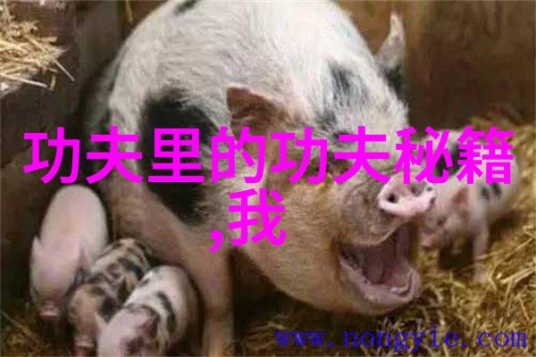 最新排名冯彦哲黄东萍携Victor羽毛球拍闯入前五翁泓阳凭借出色的表现飙升8位在自然的赛场上闪耀成果