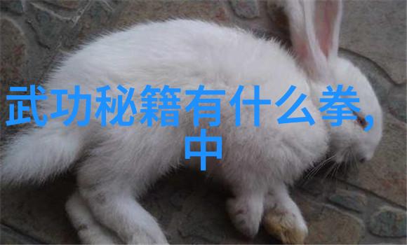武术修炼境界划分大全太极拳推腿之精华技巧简述 - 张宝银